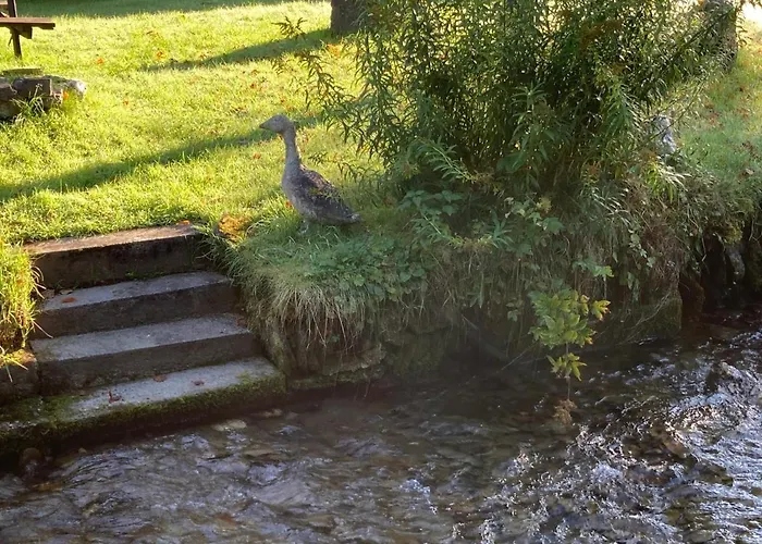 Apartment Rothaarglück *