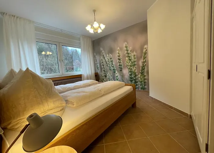 Rothaarglück * Schmallenberg